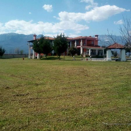 Αρχοντικό Παπανικολάου Villa Ligaria  Ngoại thất bức ảnh