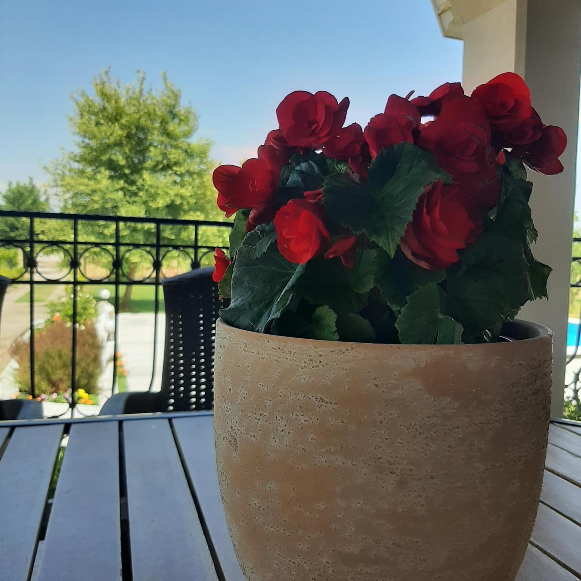 Αρχοντικό Παπανικολάου Villa Ligaria  Ngoại thất bức ảnh