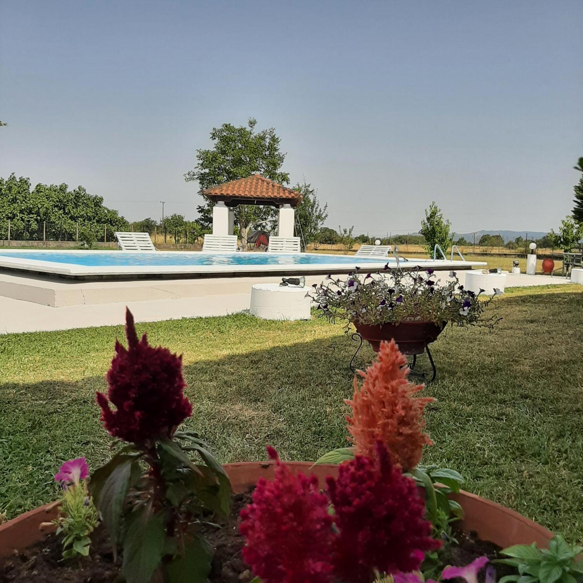 Αρχοντικό Παπανικολάου Villa Ligaria  Ngoại thất bức ảnh